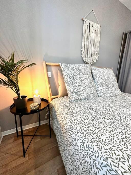 La Barriere/Hyper Centre/Calme Apartman Rodez Kültér fotó